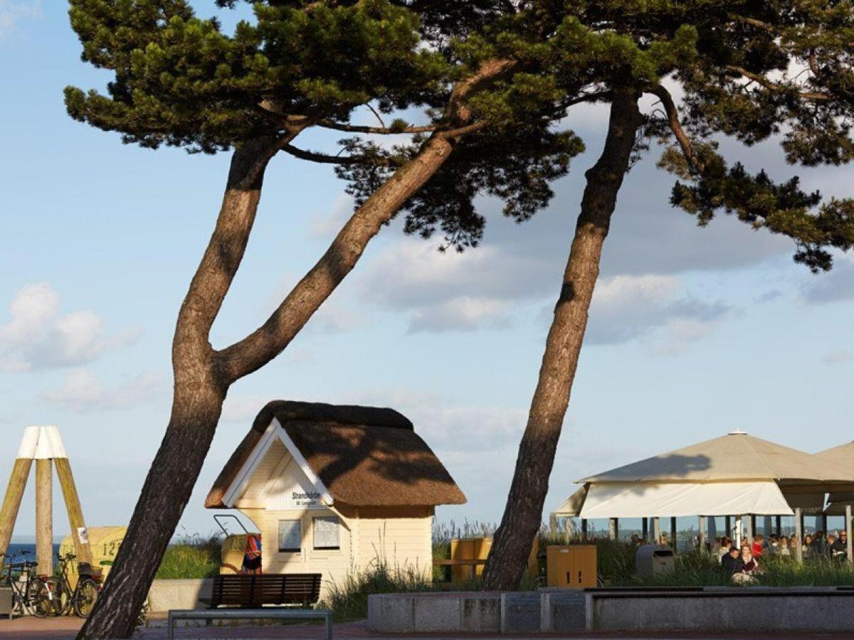 Altes Zollhaus Casa Meerblick 샬베우츠 외부 사진